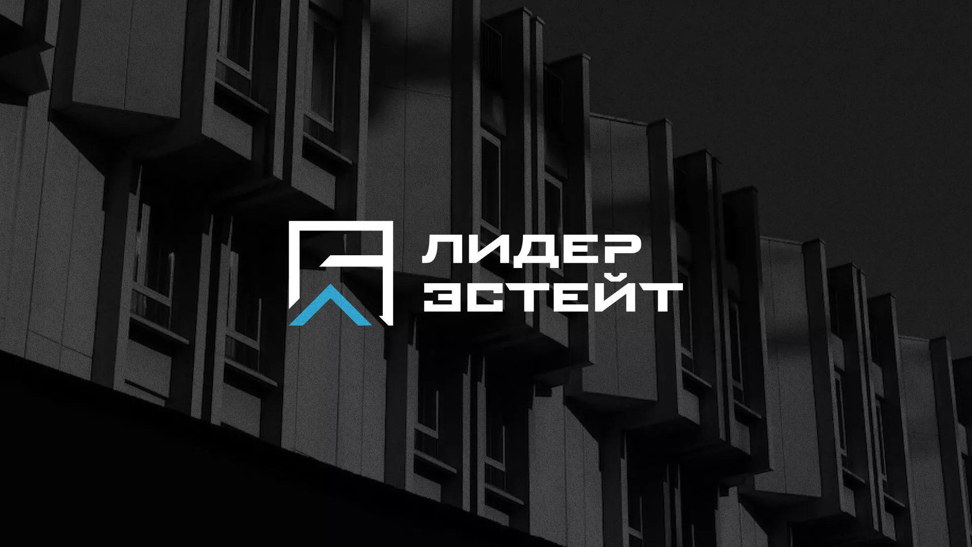 Разработка логотипа агентства недвижимости «Лидер Эстейт» в Грязовце